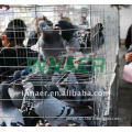 INNAER Pigeon cages design( 2014 New Design!!!)